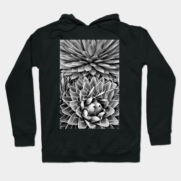 Sherman Gardens Study 38 Hoodie by bobmeyers